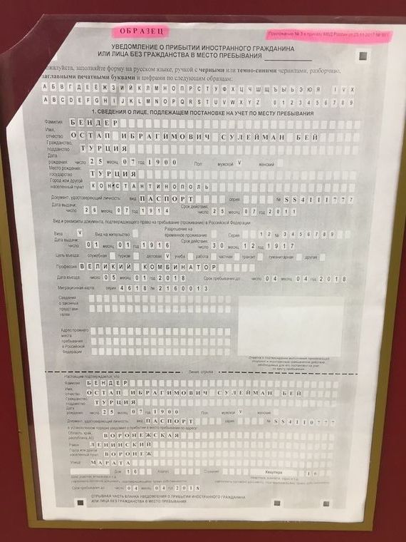 прописка в Борзе